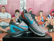Nike Zoom Basketball Sneakers 3D Hollywood Grey Blue Red