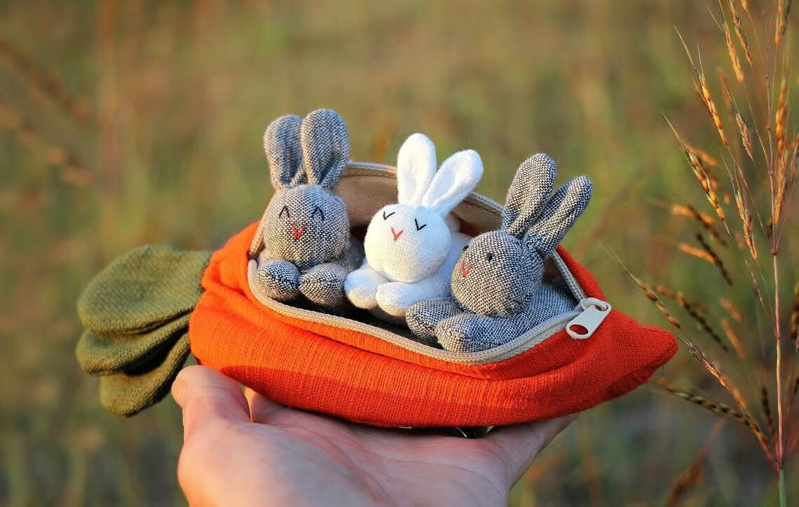 🎁 Hide-and-Seek Bunnies in Carrot Pouch