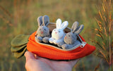 🎁 Hide-and-Seek Bunnies in Carrot Pouch