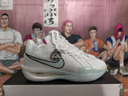 Nike LeBron Basketball Shoes White Grey