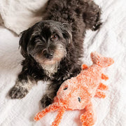 Floppy Lobster Interactive Dog Toy | Motion-Sensor USB Rechargeable Pet Toy