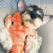 Floppy Lobster Interactive Dog Toy | Motion-Sensor USB Rechargeable Pet Toy