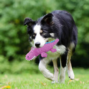Squeaky Crocodile Dog Toy | Durable Plush Chew Toy for Aggressive Chewers