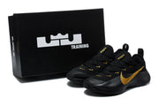 Nike LeBron 17 Low Training Shoes, Black and Gold